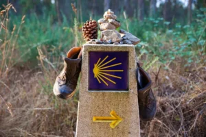 el camino de santiago con chava gutierrez
